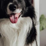 Автоматизация умного дома с программами лояльности