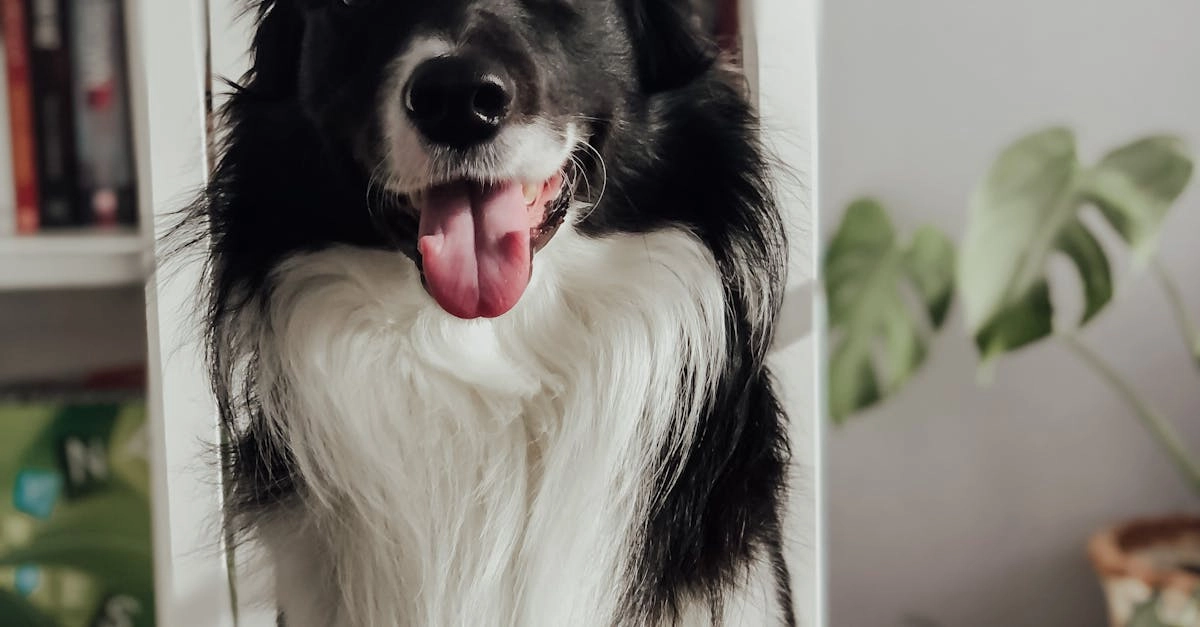 Автоматизация умного дома с программами лояльности